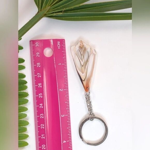 Seashell Keyring Slice Conch Seashell Clearwater Beach, Florida - Picture 8 of 11